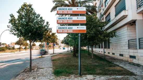 Foto face Montijo (2848a)