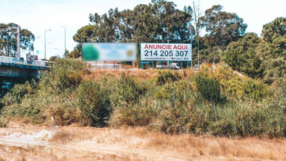 Foto face Loures (3938)