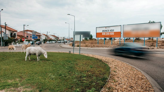 Foto face Setúbal (3649)