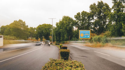 Foto face Aveiro (3902)