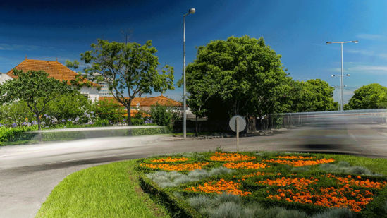 Foto face Aveiro (3927)