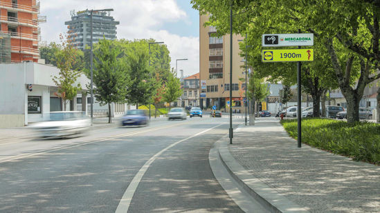 Foto face Santo Tirso (3984a1)
