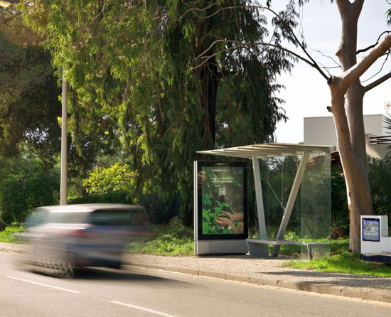 Foto face Loulé (mu6555)