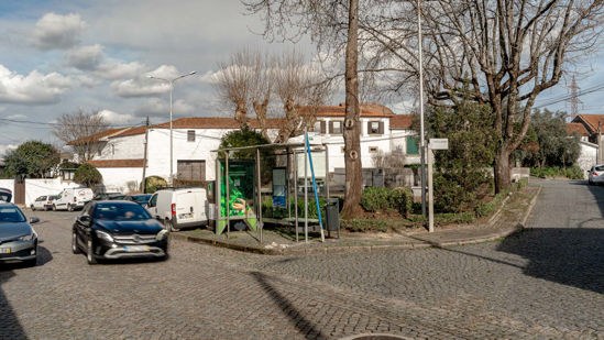 Foto face Maia (mu5031)