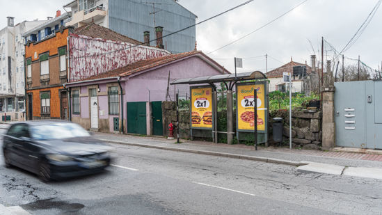 Foto face Maia (mu5238)