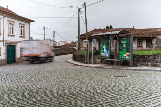 Foto face Maia (mu5256)