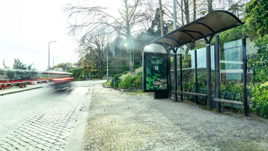 Foto face Penafiel (mu8767)