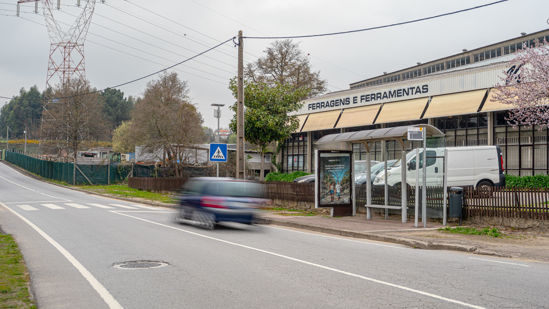 Foto face Maia (mu4855)