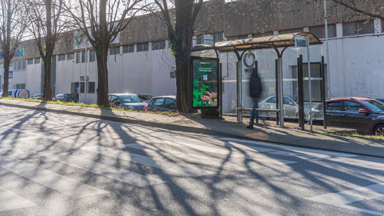 Foto face Maia (mu4881)