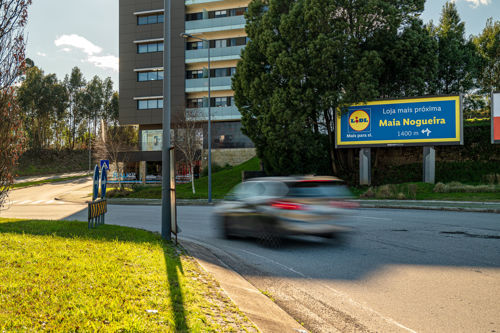Maia