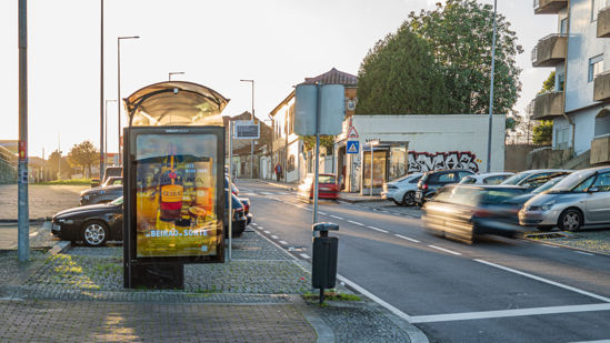 Foto face Maia (mu4900)