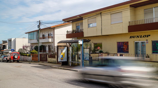 Foto face Maia (mu5175)