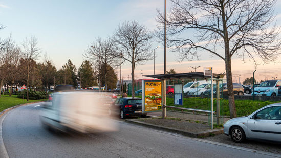 Foto face Maia (mu4931)