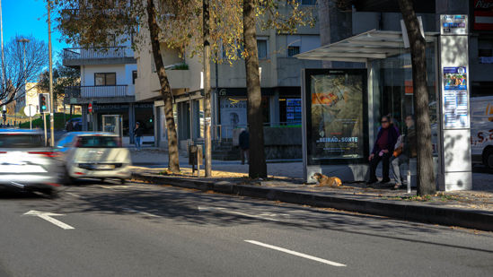 Foto face Porto (mu7591b)