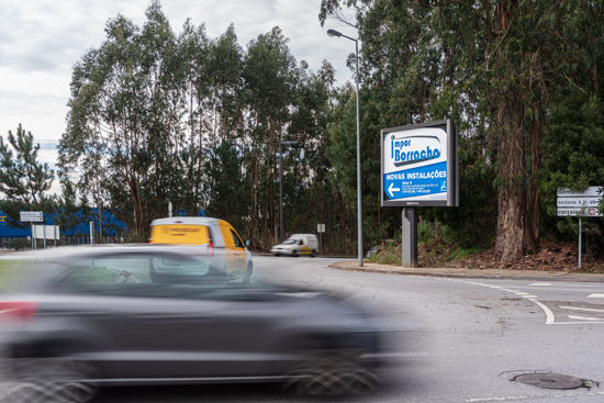 Foto face Maia (6954)