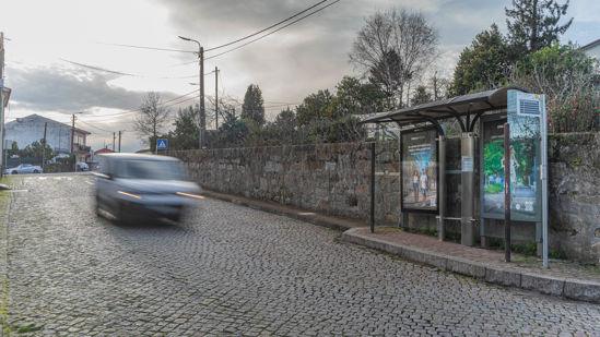 Foto face Maia (mu4880)