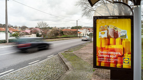 Foto face Maia (mu5106)