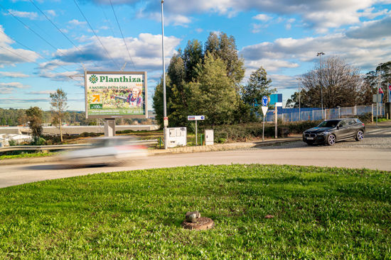 Foto face Maia (6958)